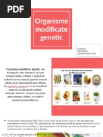 Prezentare_organisme modificate gen