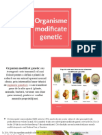 Prezentare_organisme modificate gen