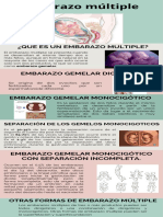 Infografia de Embarazo Multiple