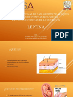 Leptin A