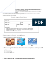 Prueba de Diagnostico Ciencis Natrales 2° A-B Ultima Buena