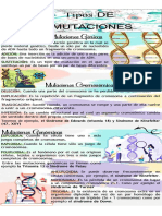 Daritza Perez Infografia Tipos de Mutaciones