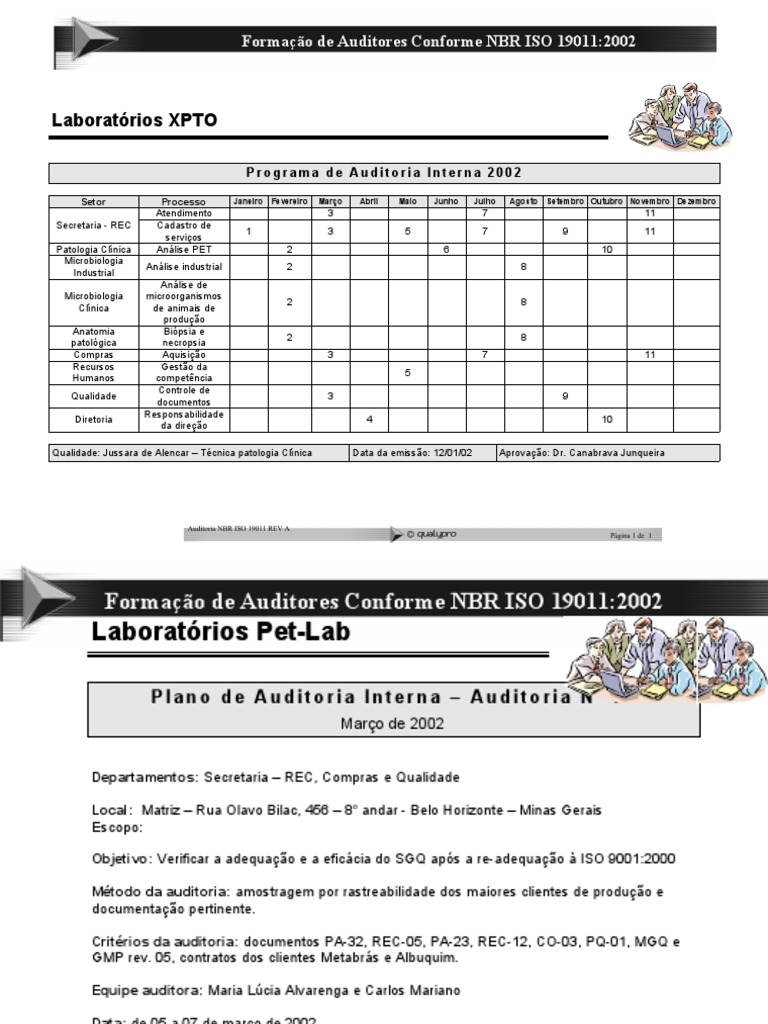 Programa de Auditoria Interna 2002 | PDF | Business