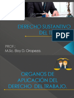 Organos de Aplicacion Del Derecho de Trabajo. Eloy Oropeza