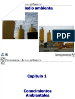 PDF Unicon Impacto Ambiental PDF Compress