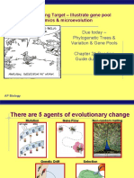 AP Bio Learning Target - Illustrate Gene Pool Dynamics & Microevolution