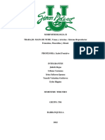 Morfología y fisiología de las venas y arterias del sistema reproductor femenino, masculino y renal