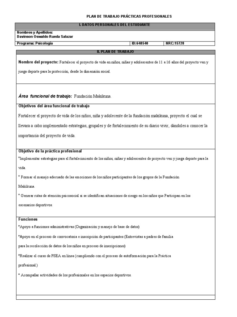 5-plan-de-trabajo-pr-cticas-profesionales-pdf
