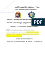 Esquema de Reglamento de Practica Pre-Profesionales Se-Ssoma