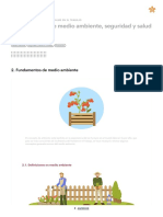 Medio Ambiente, Seguridad y Salud en El Trabajo