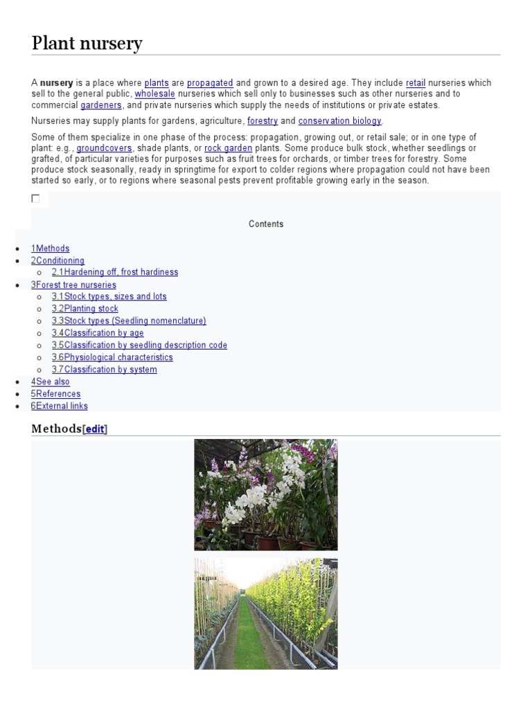 Understanding Forest Nurseries A Comprehensive Look at Propagation