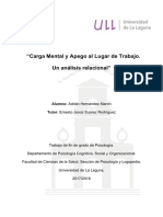 Carga Mental y Apego Al Lugar de Trabajo. Un Analisis Correlaciona.