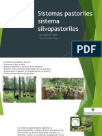 Sistemas pastoriles modernos, y sistema silvopastoriles