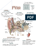 Otitis Externa