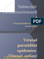 Paramixovirusurile