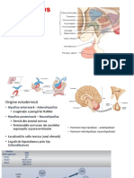 Curs 2 Insuficienta Hipofizara, Diabet Insipid Stud