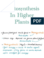 Photosynthesis in Higher Plants