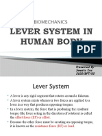 Lever System in Human Body: Biomechanics