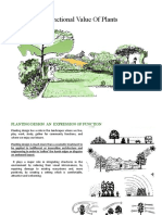 Functional Value of Plants