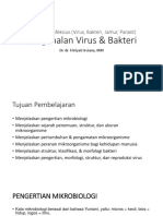 DR - Vina - Pertemuan 6 - Pengenalan Virus & Bakteri