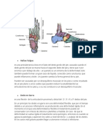 Anatomía Del Pie