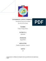 Informe Practica Final, Cindy P. Pruebas de AP e Interes