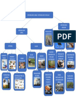 Metabolismo Lineal y Circular