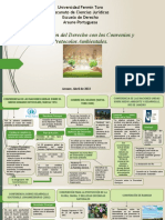 Derecho Ambiental (Convenios)