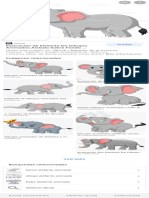 Searchq Elefante+Animado&Tbm Isch&Ved 2ahUKEwiorcCKv4b0AhVMGN8KHcXODeUQ2 CCegQIABAC&Oq Elefante+Animado&