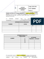 Acta de Conformación Copasst