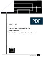 Informe de Levantamiento de Observaciones