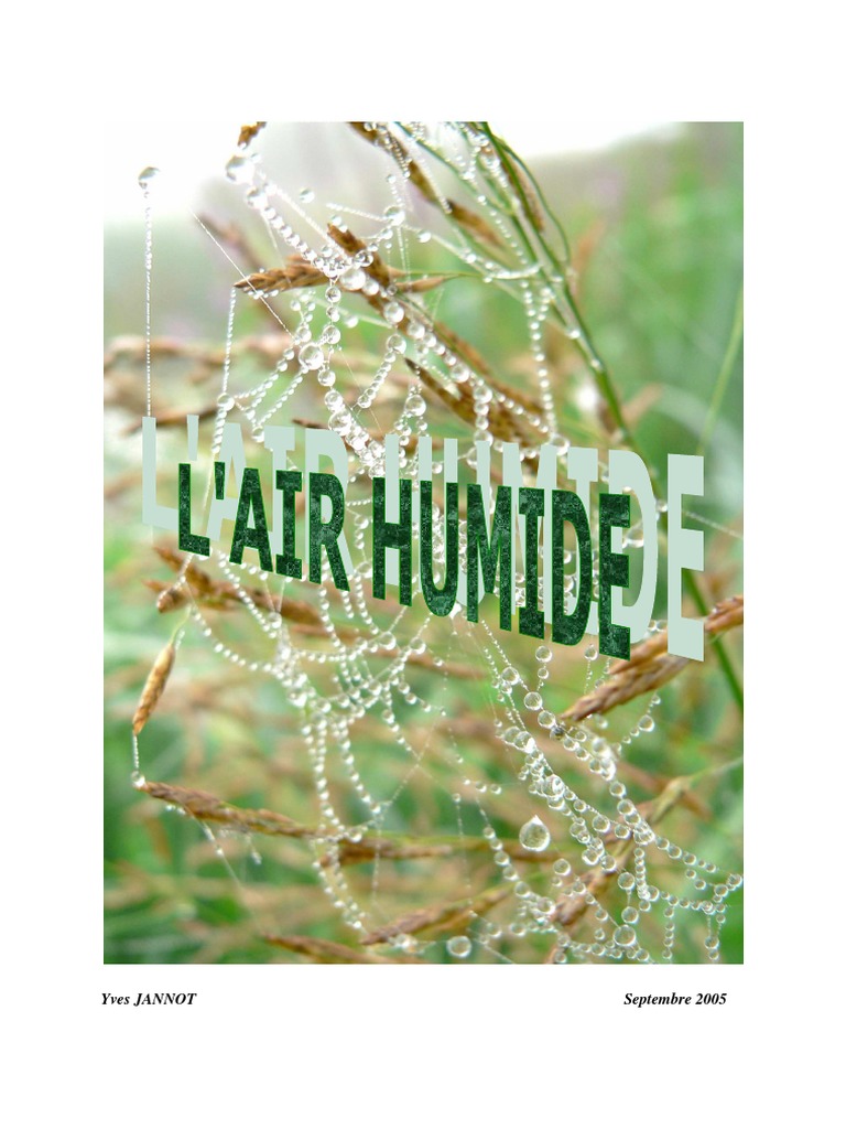 Comprendre l'air humide et ses propriétés | PDF | Humidité relative ...