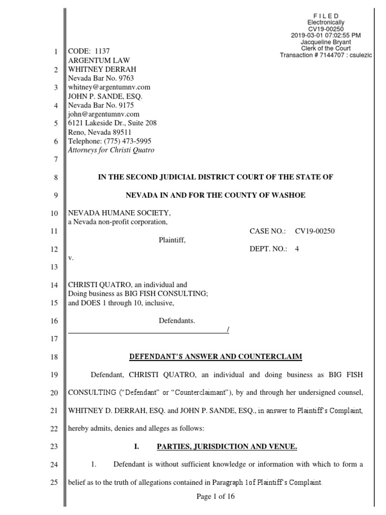 Answer and Counterclaim | PDF | Complaint | Declaratory Judgment