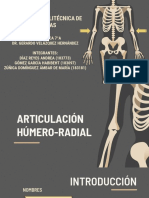 ARTICULACIÓN Lixa