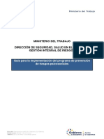 Guia para La Aplicacion Del Programa de Prevencion de Riesgo Psicosocial