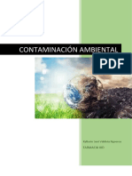 Contaminación Ambiental, Análisis Cualitativo.