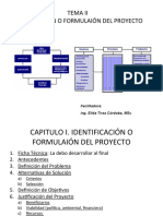 Tema 4 Identificacion de Proyectos