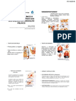 Diagnóstico Clínico Exames Subsidiários Das Disfunções Do Assoalho Pélvico