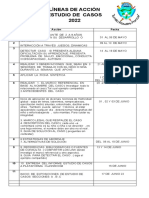 Líneas de Acción Estudio de Casos 22