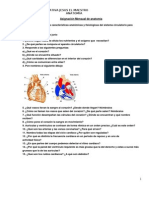 Asignación mensual de anatomía