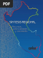 Download CEPLAN - Sntesis Regional by Pilar Vidal SN57394191 doc pdf