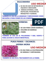 Tarjetas Huerto Medicinal