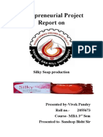 Entrepreunial Project Report - Vivek Pandey
