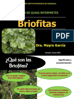 Briofitas