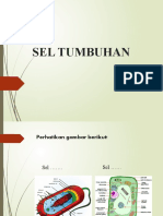 SEL TUMBUHAN Pendahuluan Anatomi Tumbuhan