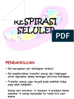 Respirasi Seluler