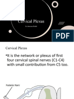 Cervical Plexus: Dr. Ammara Khalid