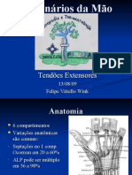 tendões extensores