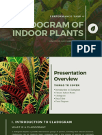 Cladogram of Indoor Plants: Performance Task 4