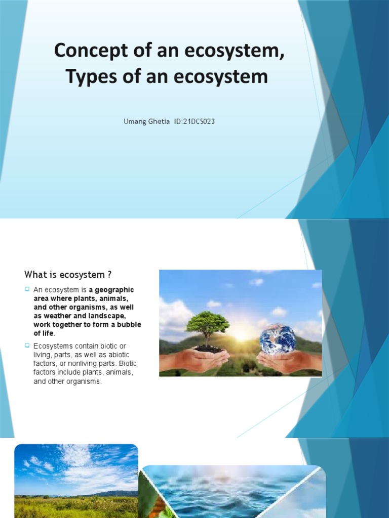 Ecosystem Concepts and Types Explained | PDF | Ecosystem | Natural ...